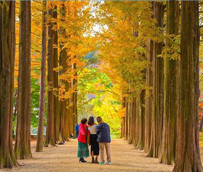 杭州道路养护之市政公司的黄金施工季 秋季.jpg